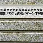 外壁の苔やカビを放置するとどうなる？健康リスクと劣化パターンを解説