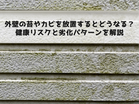 外壁の苔やカビを放置するとどうなる？健康リスクと劣化パターンを解説
